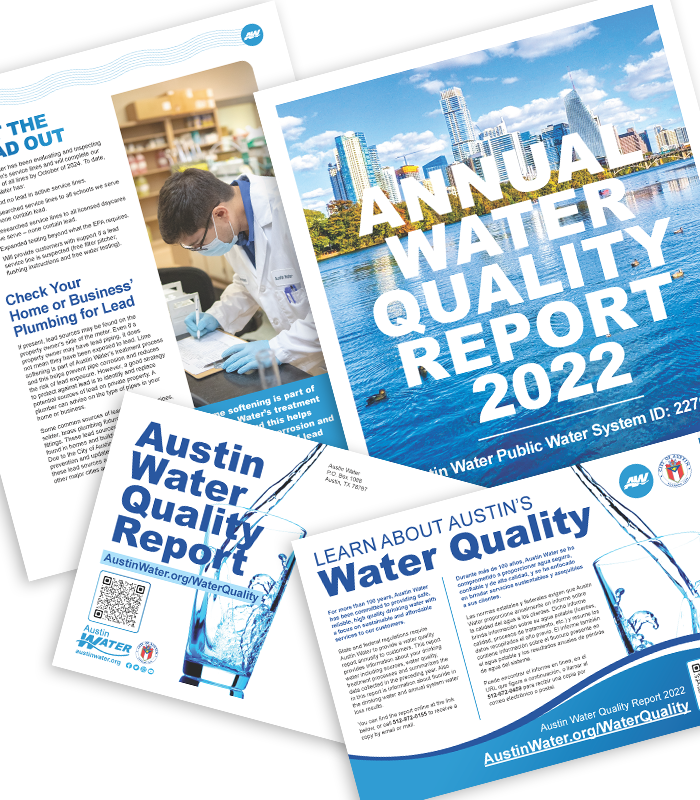 Design materials to educate the public on a new city wide initiative for the future